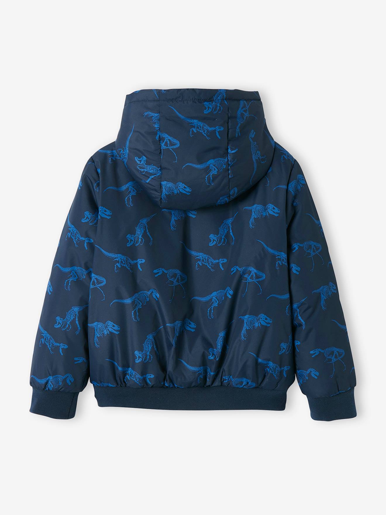 https://kids-avenue.com.ua/pages/gallery/6660/blouson-a-capuche-motifs-dinosaures-double-polaire-garcon (2).jpg